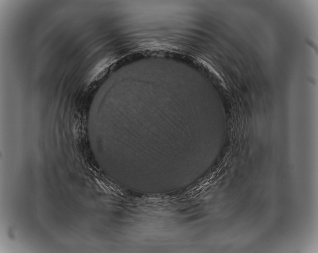 X0000097000775200802291146