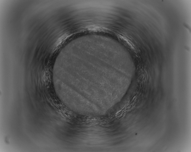 X0000097000776200802291146