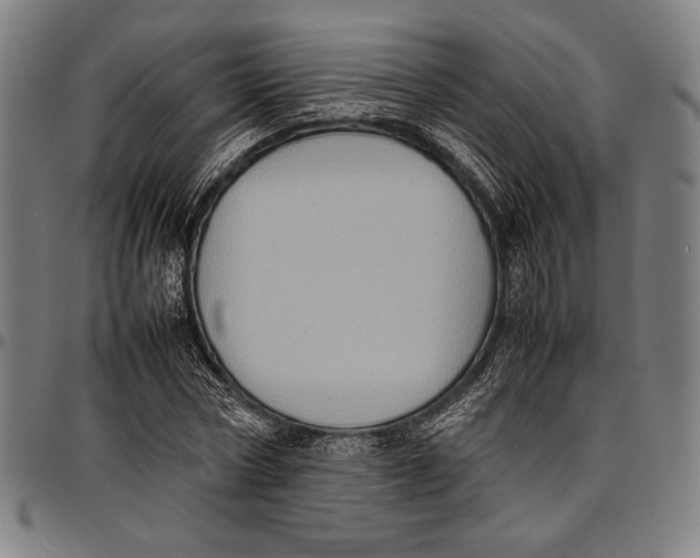 X0000097000778200802291146