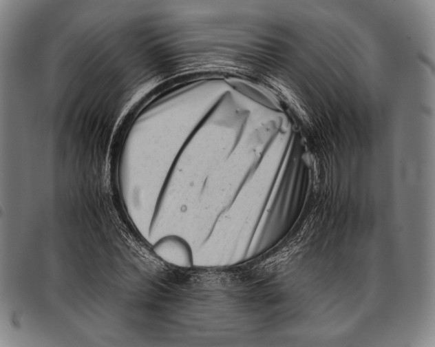 X0000097000780200802291146