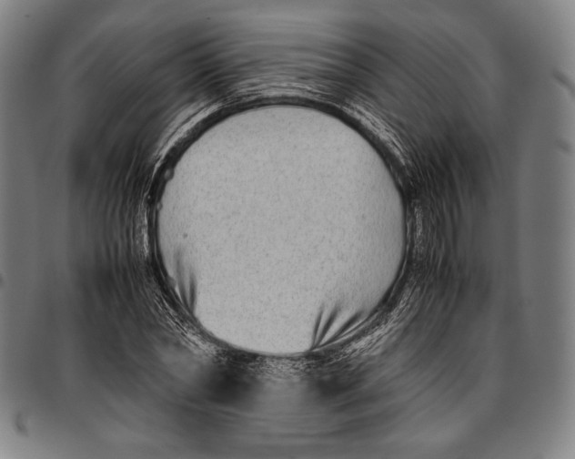 X0000097000782200802291146