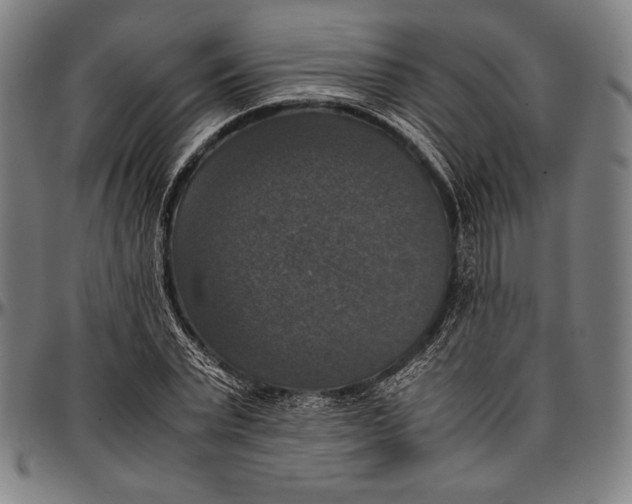 X0000097000783200802291146