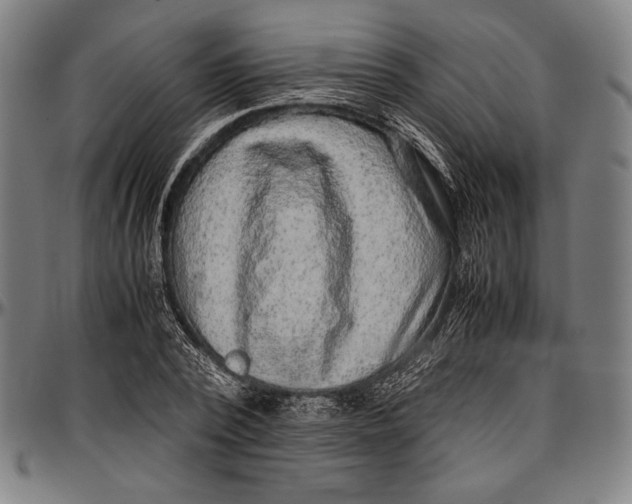 X0000097000784200802291146