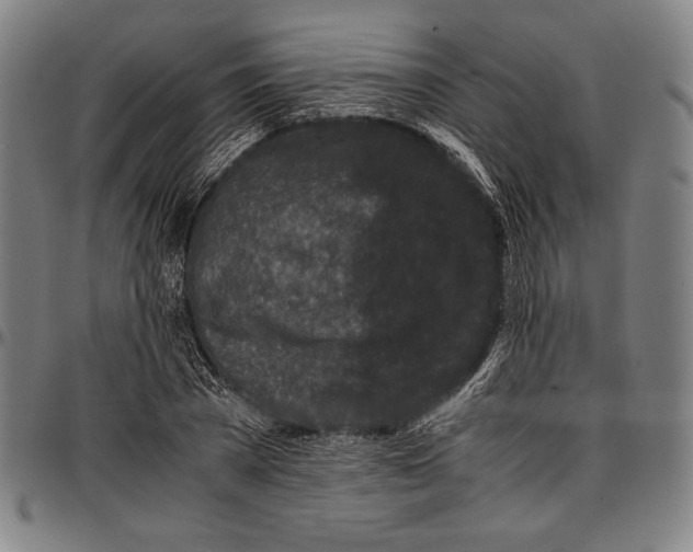 X0000097000785200802291146