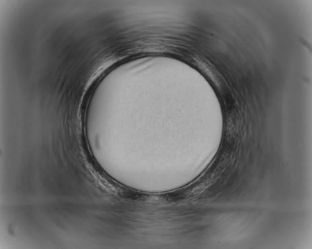 X0000097000787200802291146