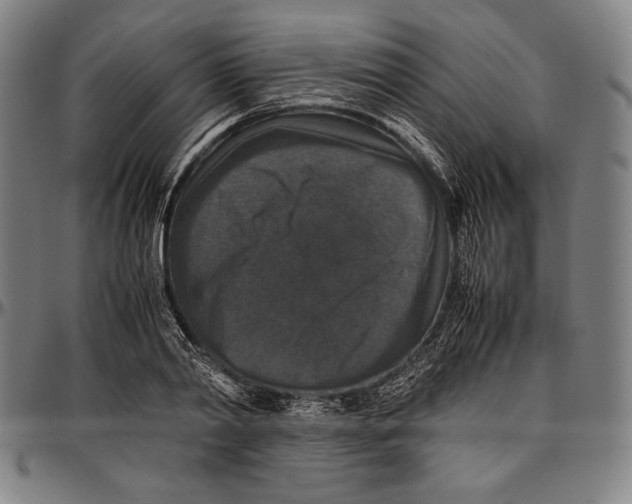 X0000097000790200802291146