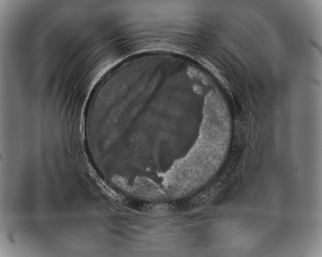 X0000097000791200802291146