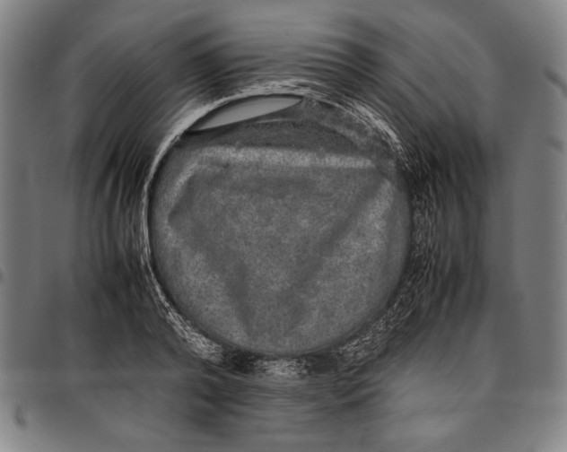 X0000097000792200802291146