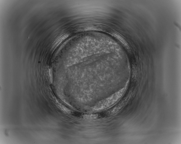 X0000097000793200802291146