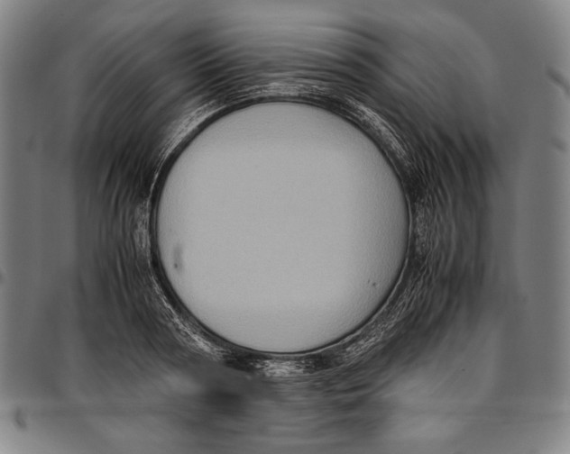 X0000097000794200802291146