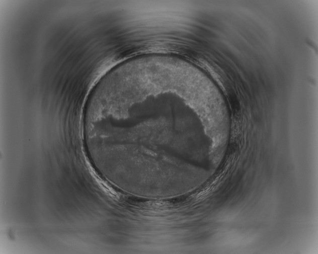 X0000097000795200802291146