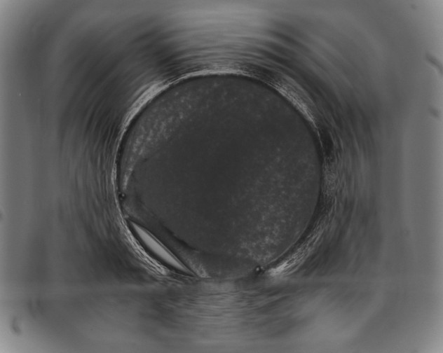 X0000097000797200802291146