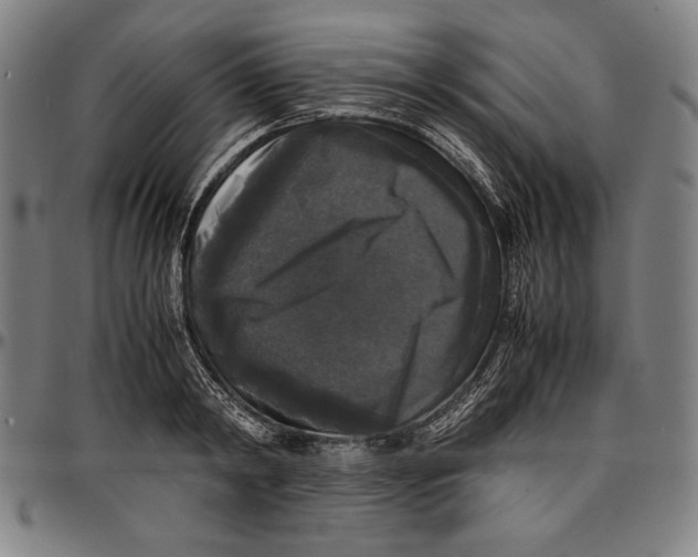 X0000097000798200802291146