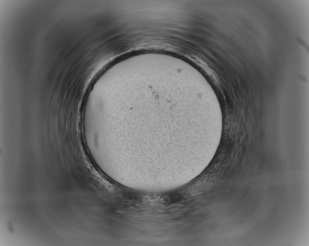 X0000097000799200802291146