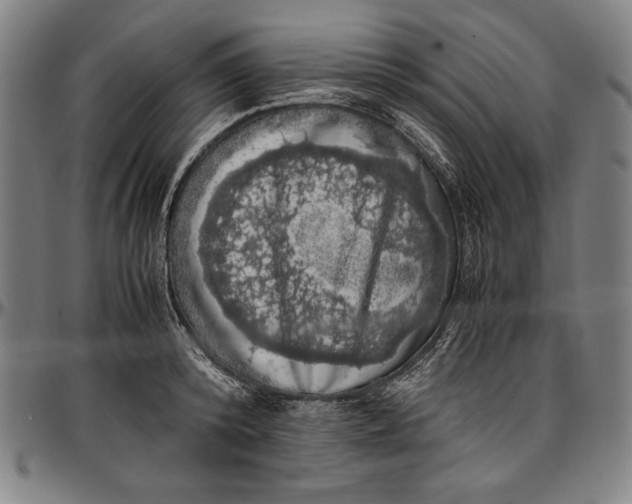 X0000097000800200802291146