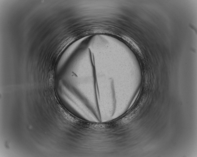 X0000097000801200802291146