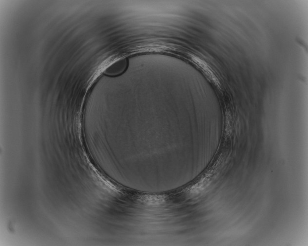 X0000097000802200802291146