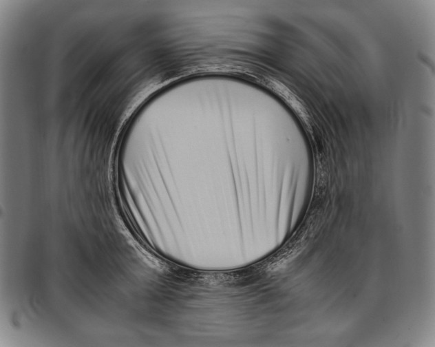 X0000097000803200802291146