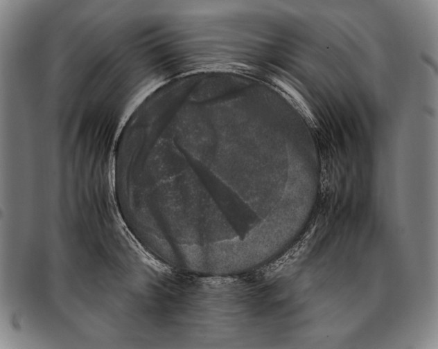 X0000097000804200802291146