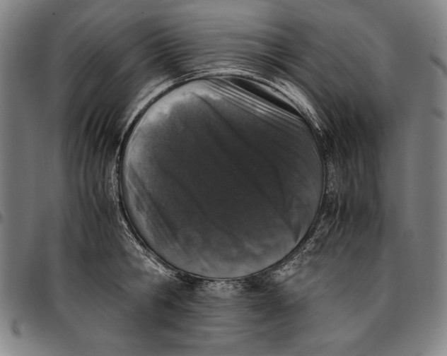 X0000097000806200802291146