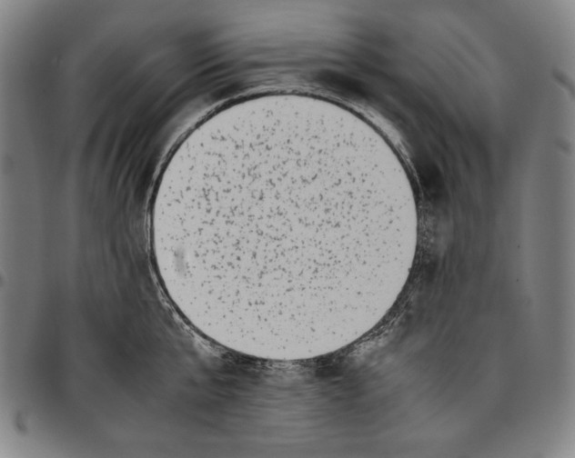 X0000097000807200802291146