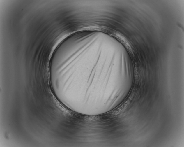 X0000097000808200802291146