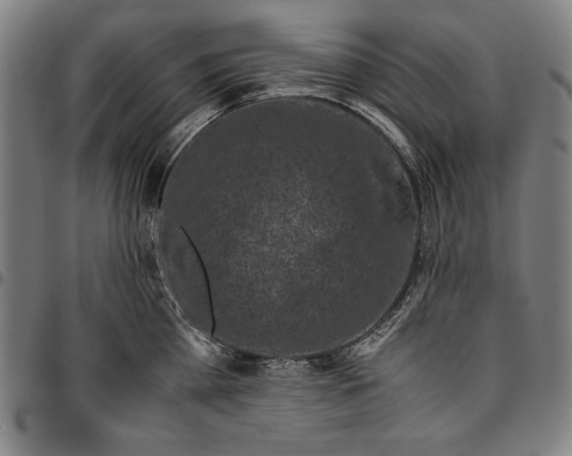 X0000097000809200802291146