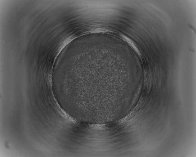 X0000097000810200802291146