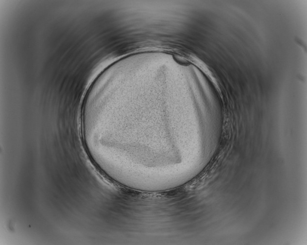 X0000097000811200802291146