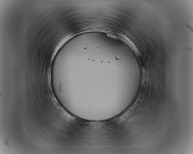 X0000097000812200802291146