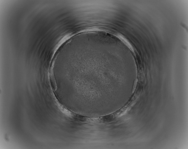 X0000097000813200802291146