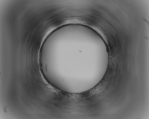 X0000097000815200802291146