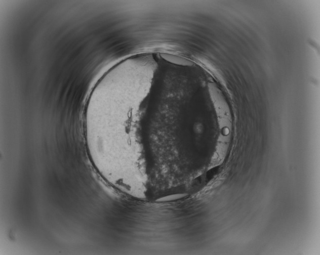 X0000097000816200802291146