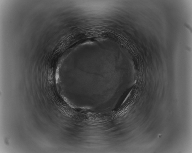 X0000097000818200802291145