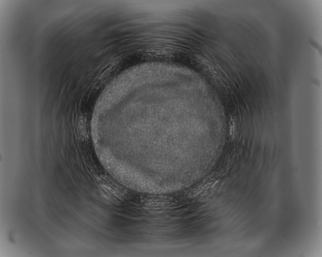 X0000097000819200802291145