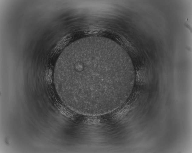 X0000097000820200802291145