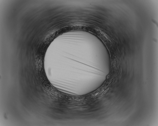 X0000097000821200802291145