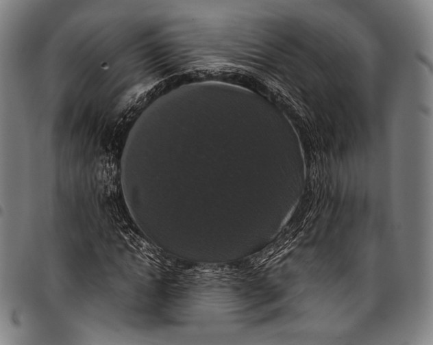 X0000097000822200802291145