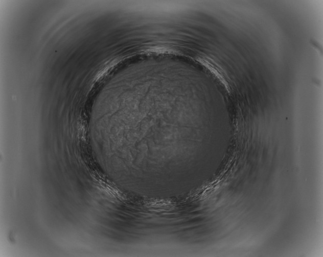 X0000097000823200802291145