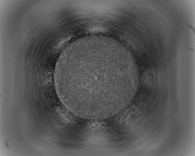 X0000097000824200802291145