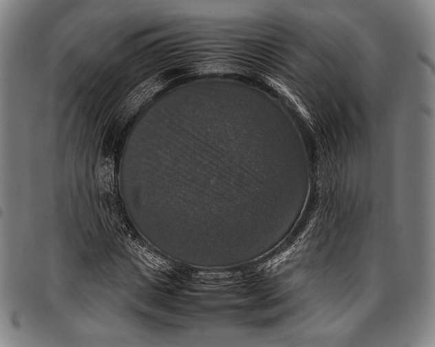 X0000097000825200802291145