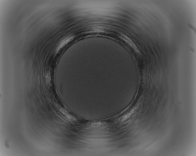 X0000097000826200802291145