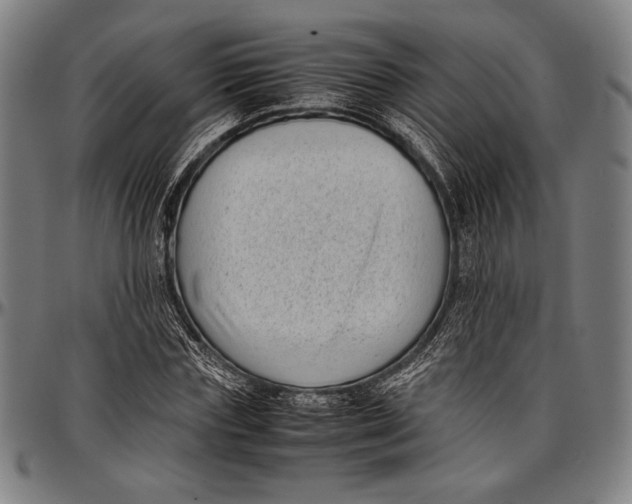 X0000097000827200802291145