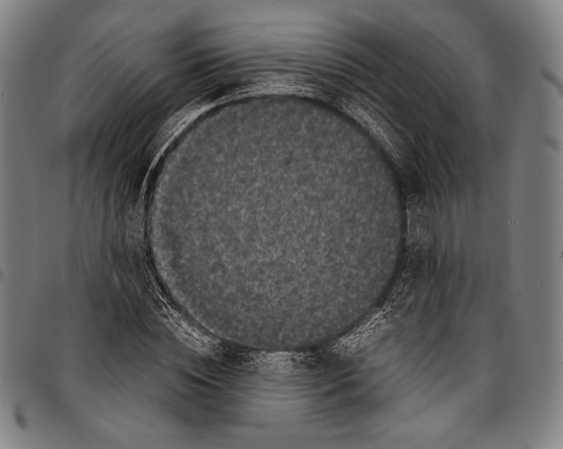 X0000097000828200802291145