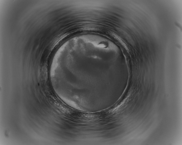 X0000097000829200802291145