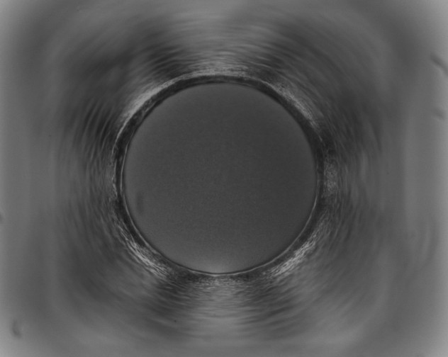 X0000097000830200802291145