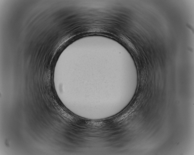 X0000097000831200802291145