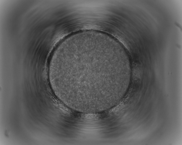 X0000097000832200802291145