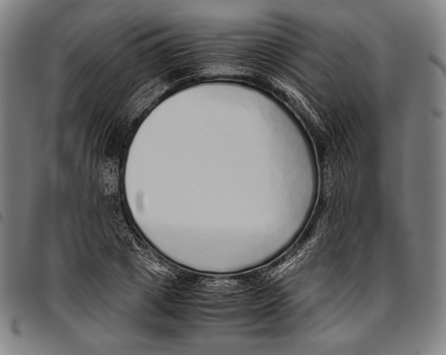 X0000097000833200802291145