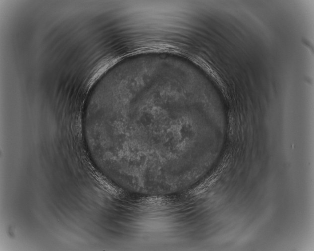 X0000097000834200802291145